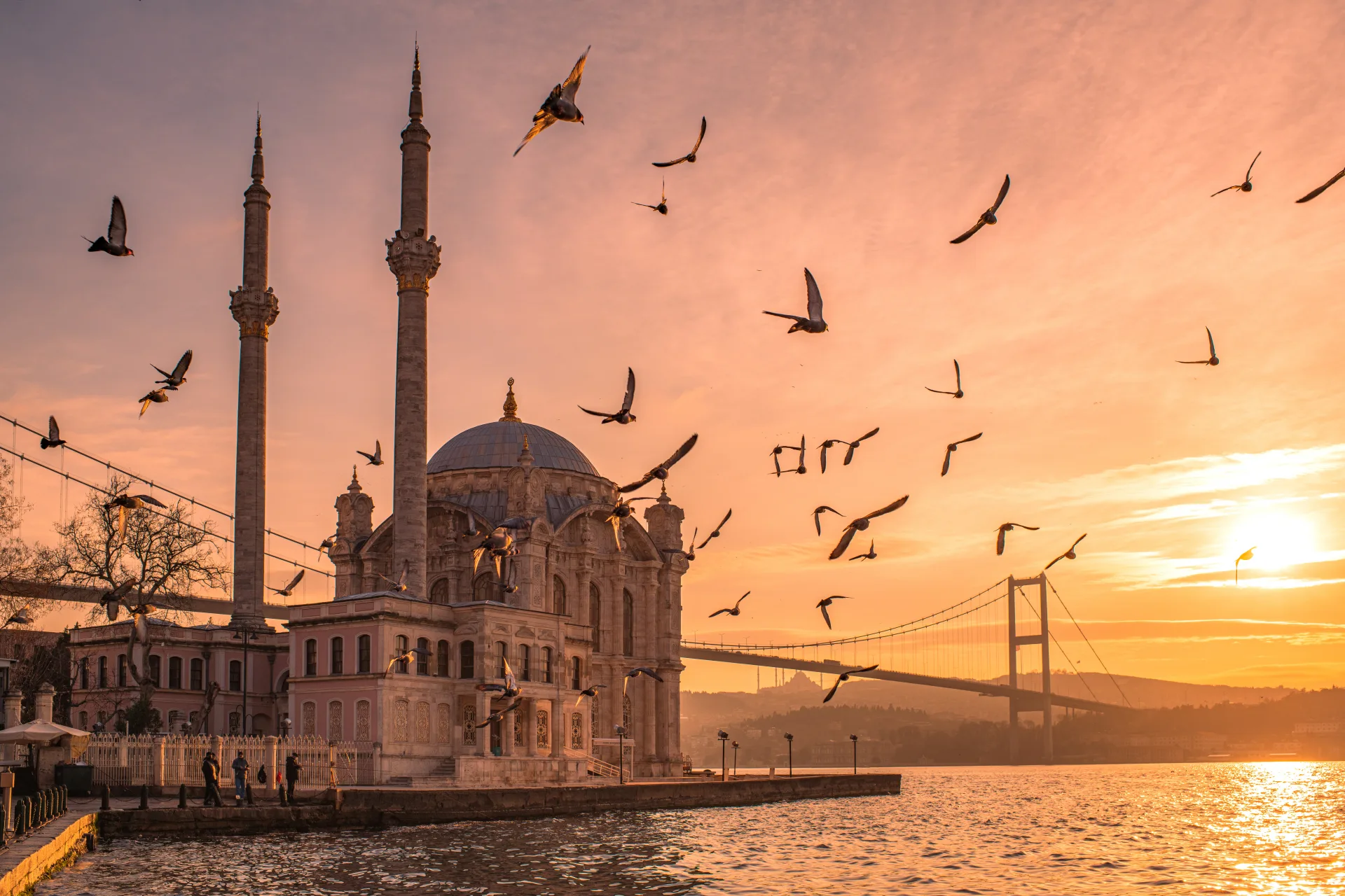 Istanbul to Selcuk Bus